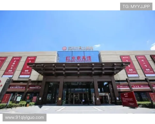 东阳电视台高清直播实时在线观看指南